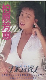 柏原芳恵さん TOMORROW厳選ビデオ・リスト